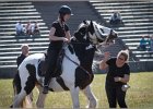 Pferd International 016